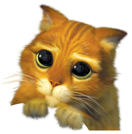 IMG_1338.PNG