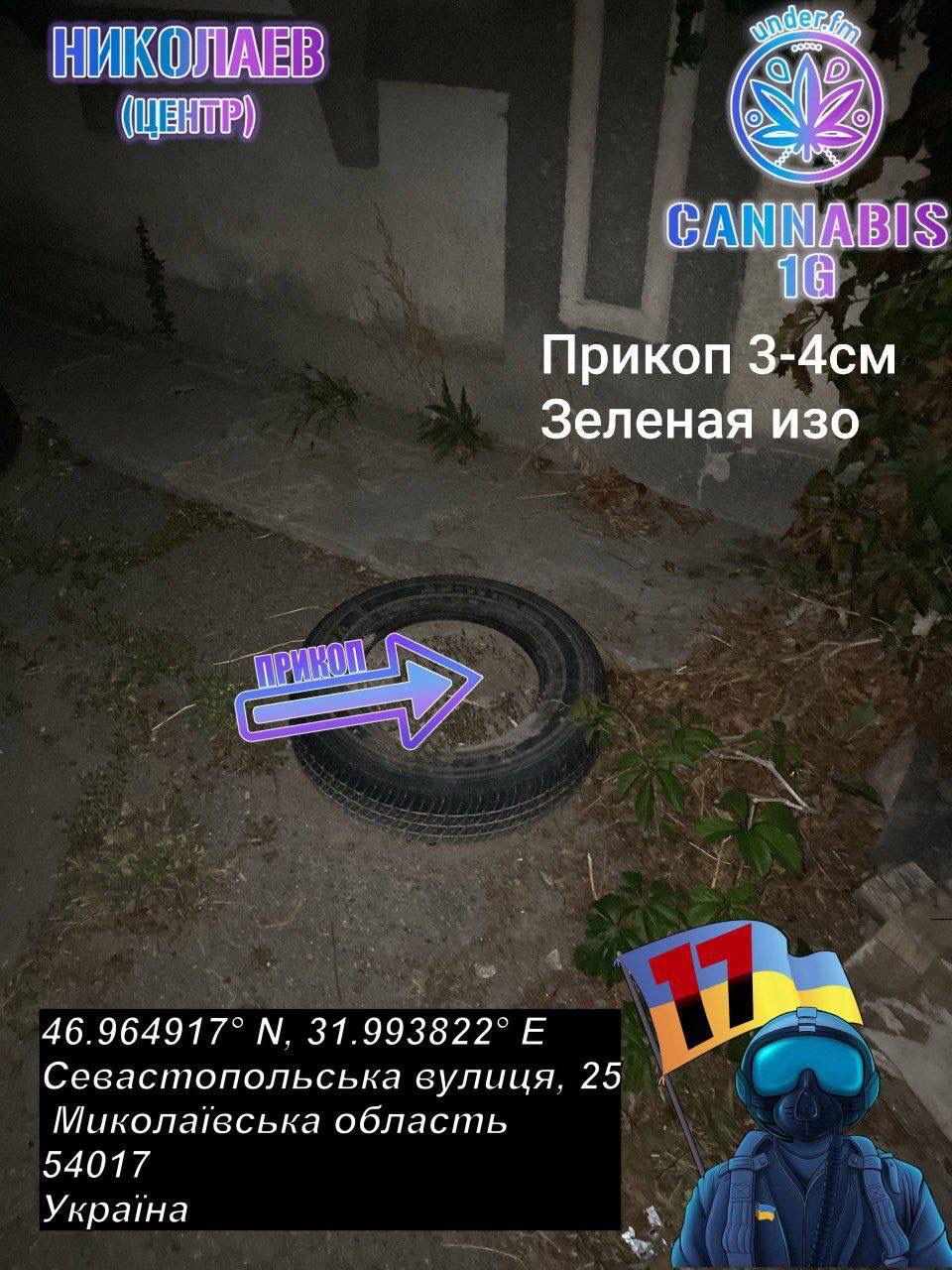 IMG_1779.jpeg