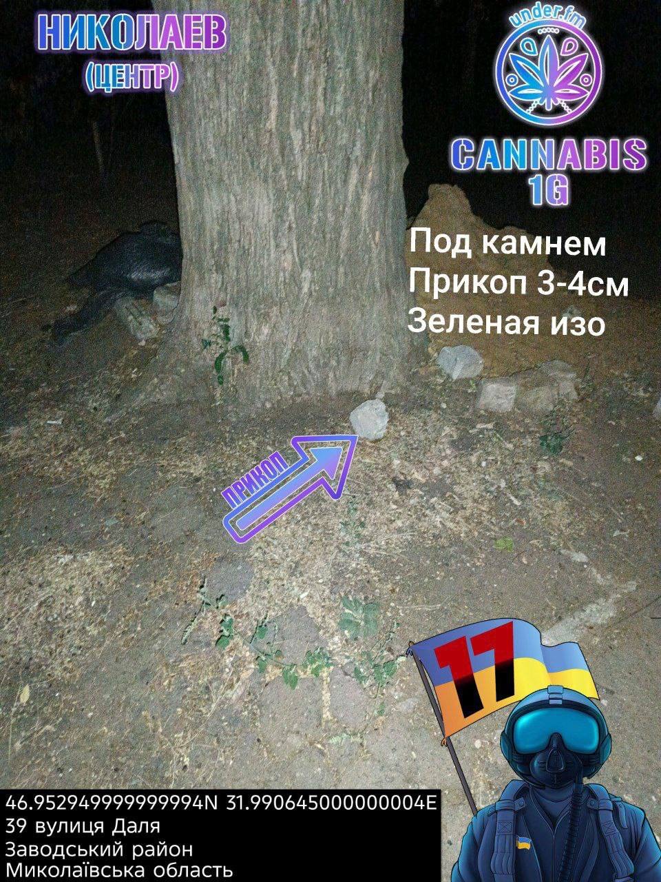 IMG_1782.jpeg