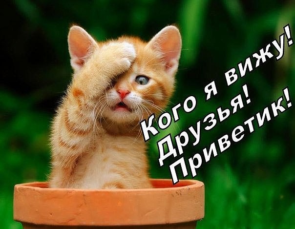 IMG_20170518_023103_1.jpg