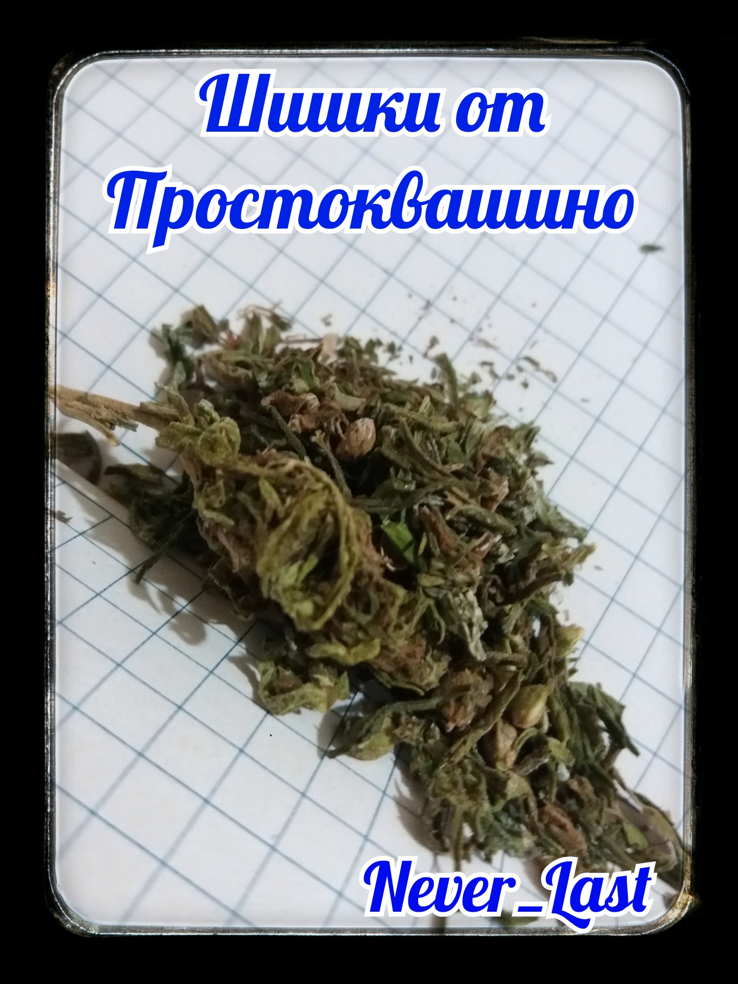 IMG_20190210_232751_.jpg