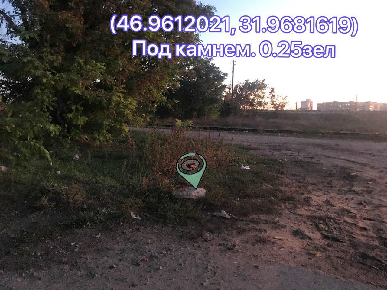 IMG_20191020_051324_098.jpg