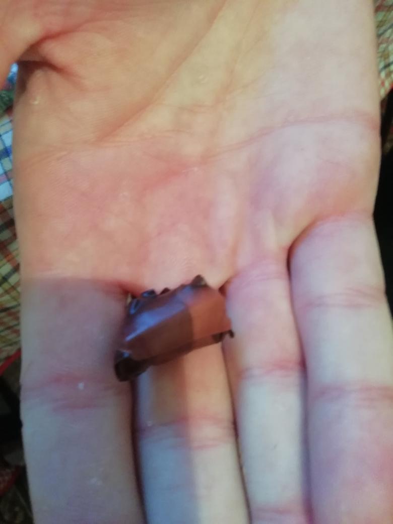 IMG_20191226_205607_249.jpg