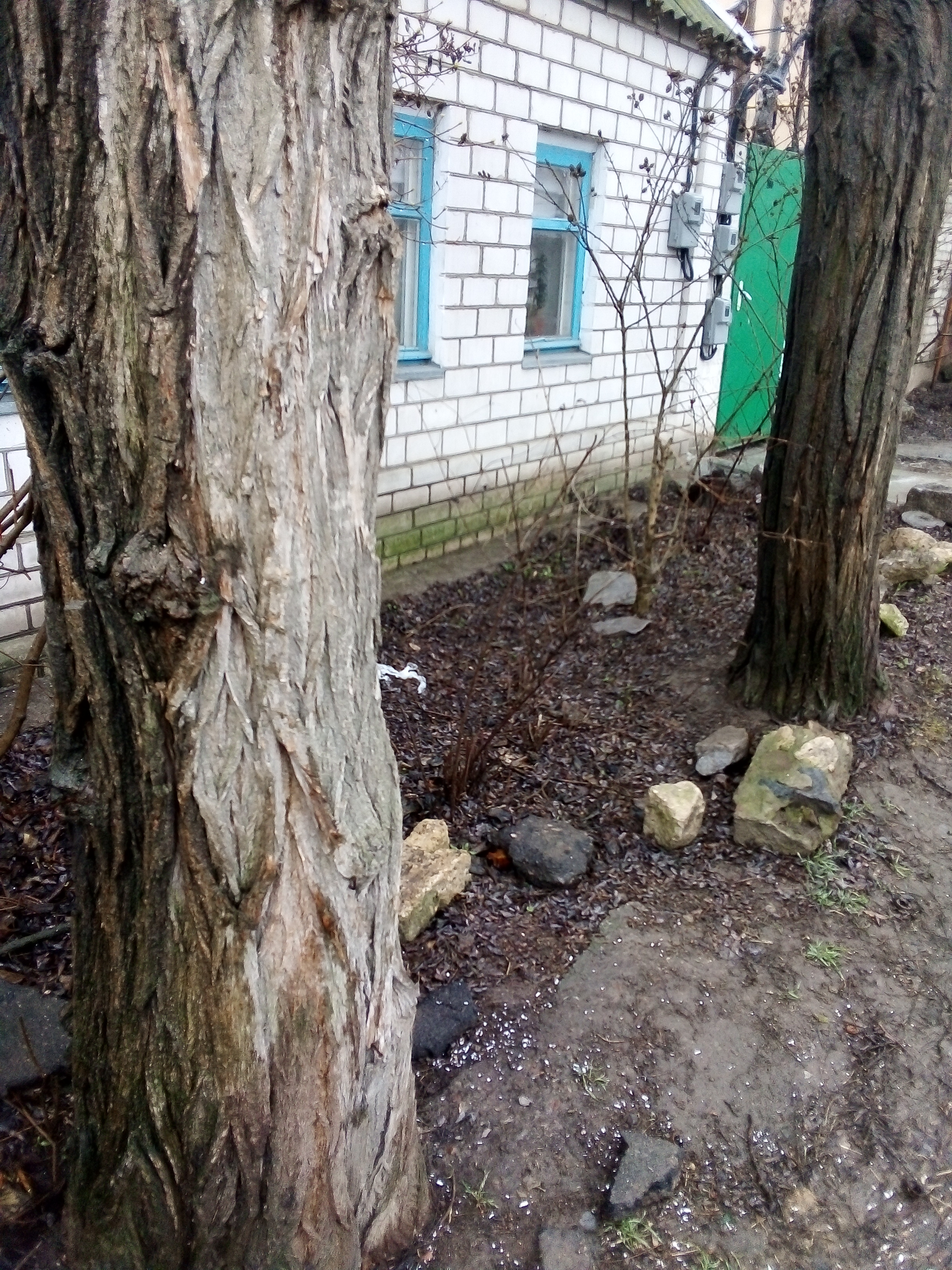 IMG_20200128_145058.jpg
