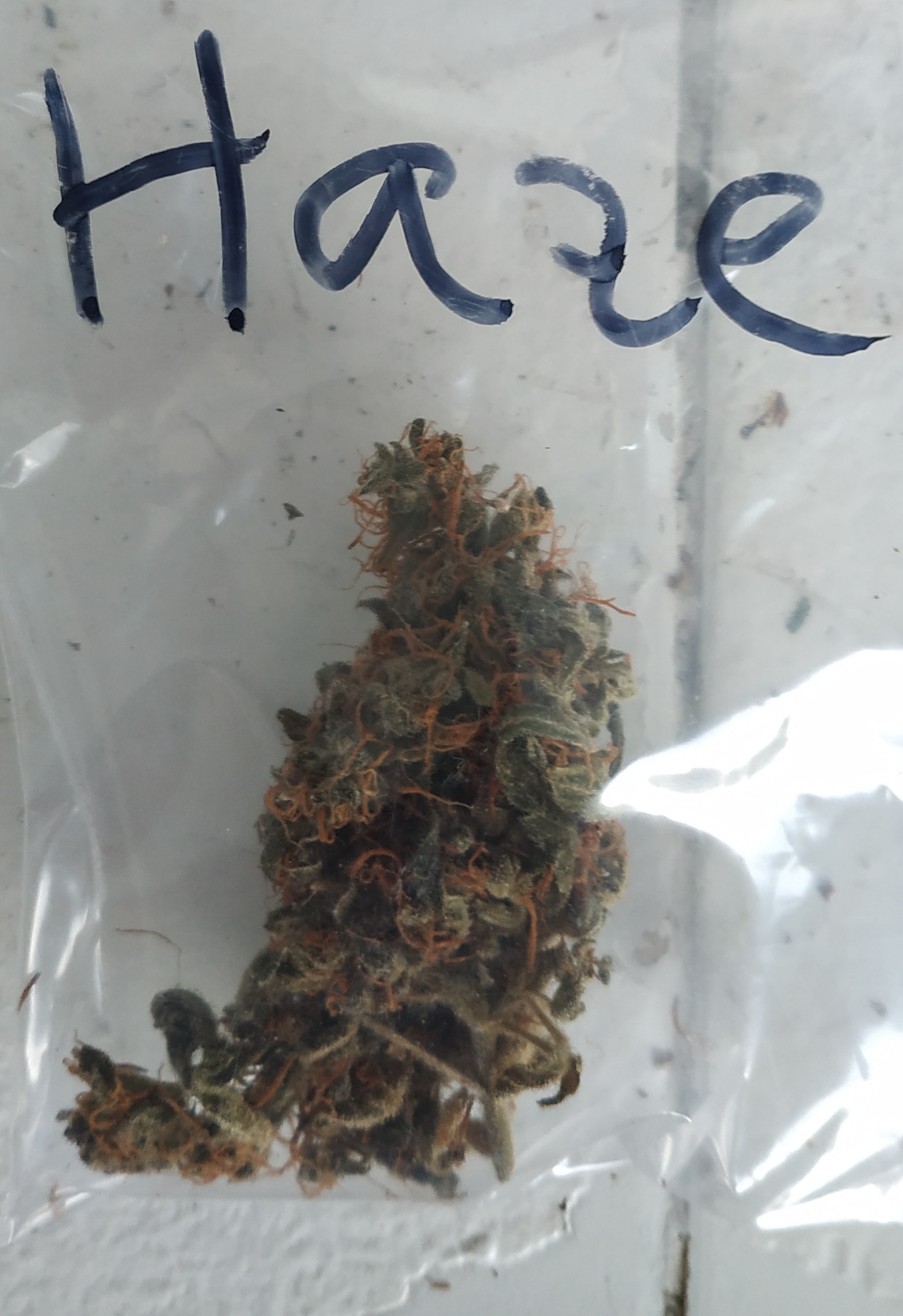 IMG_20200302_005800.jpg