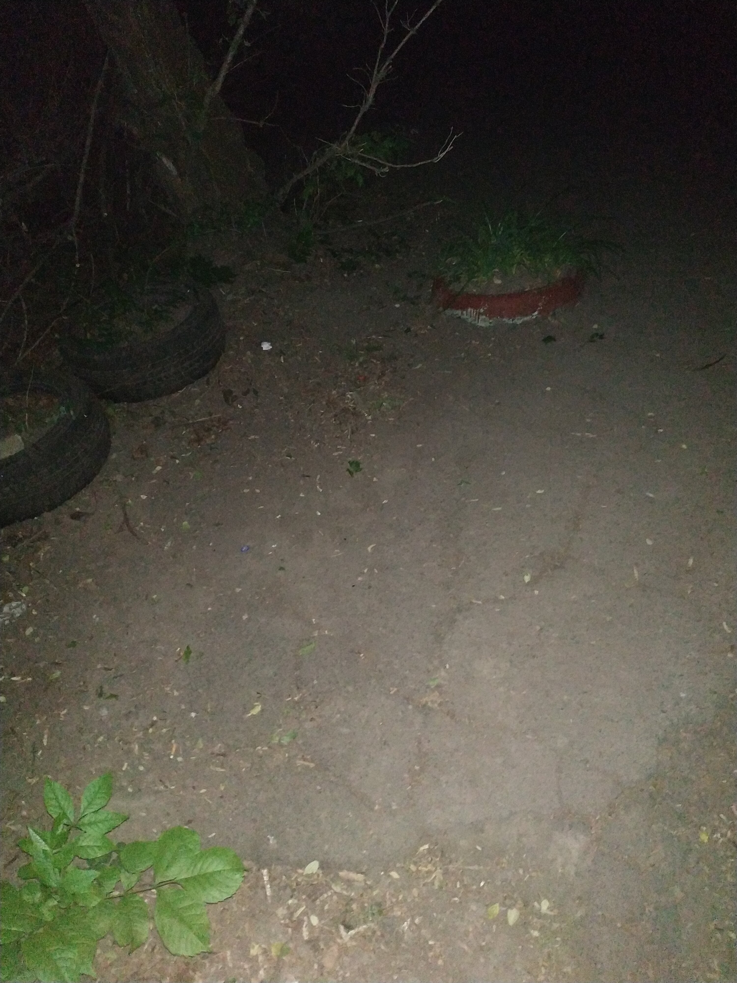 IMG_20200512_001914.jpg