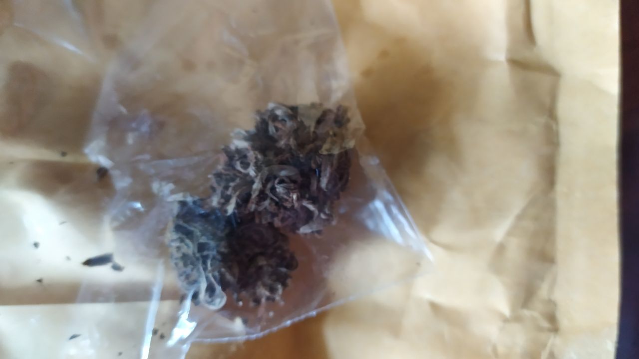 IMG_20200516_145805_833.jpg