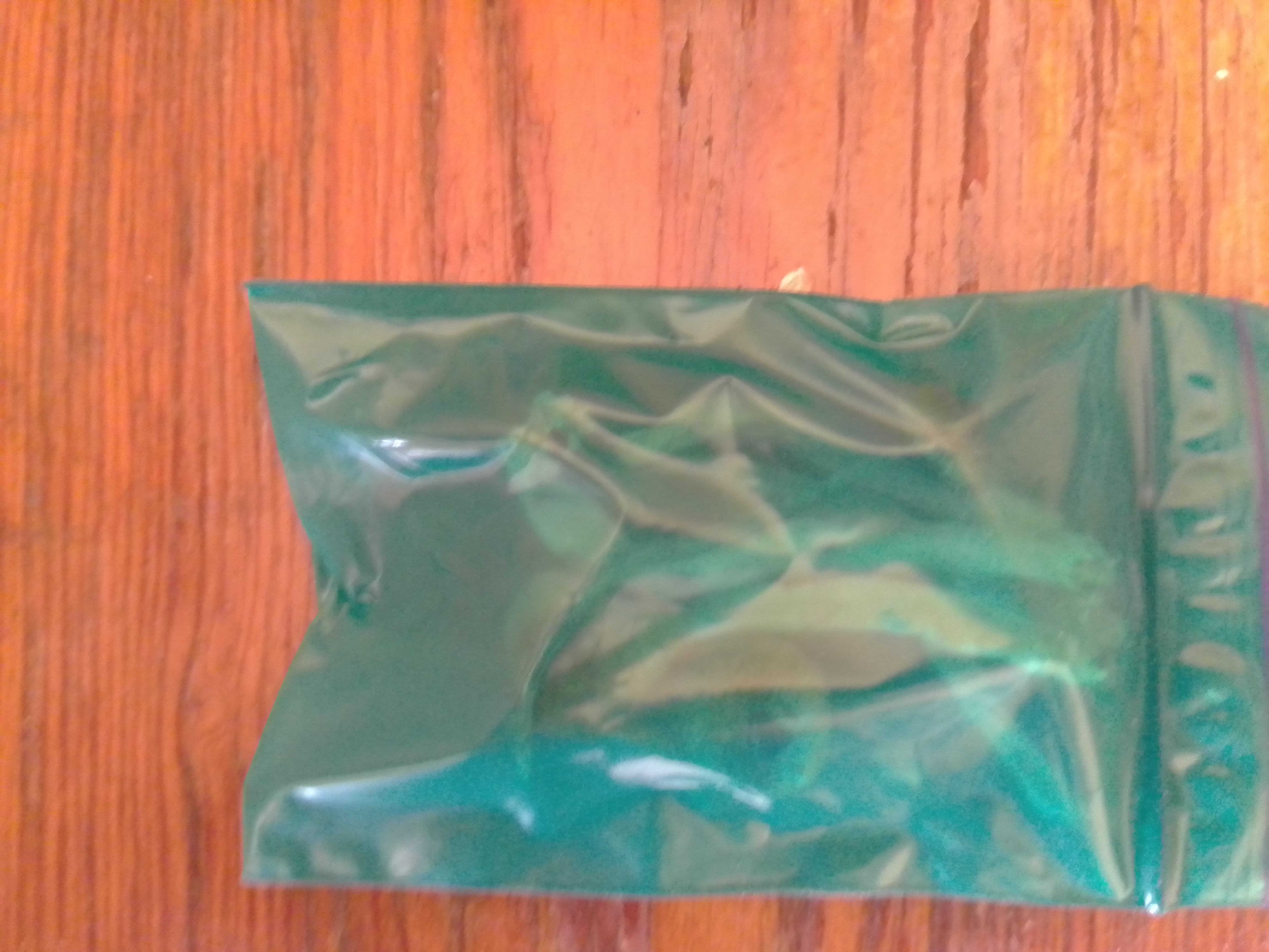 IMG_20200830_115033.jpg