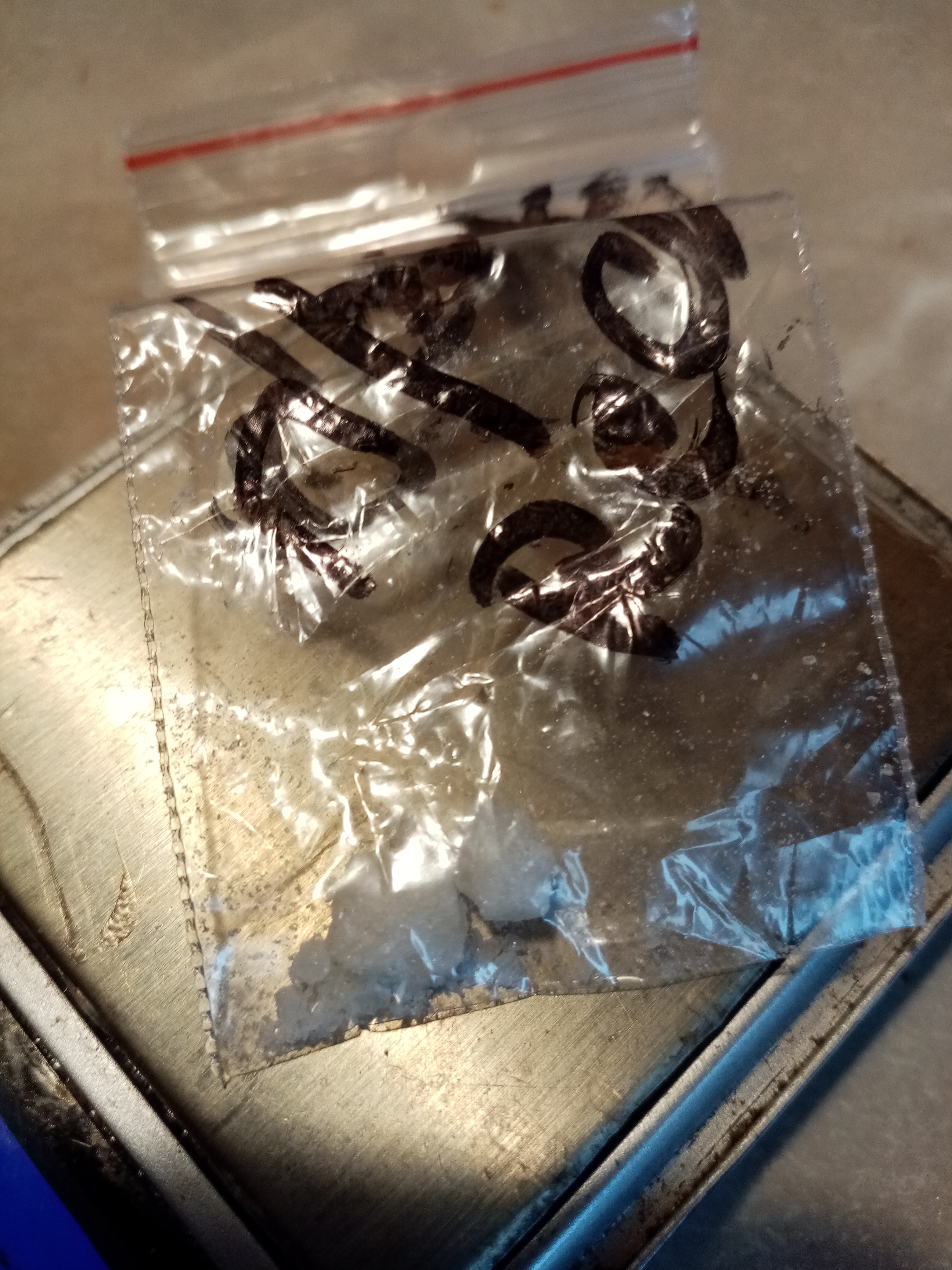 IMG_20201205_102024.jpg