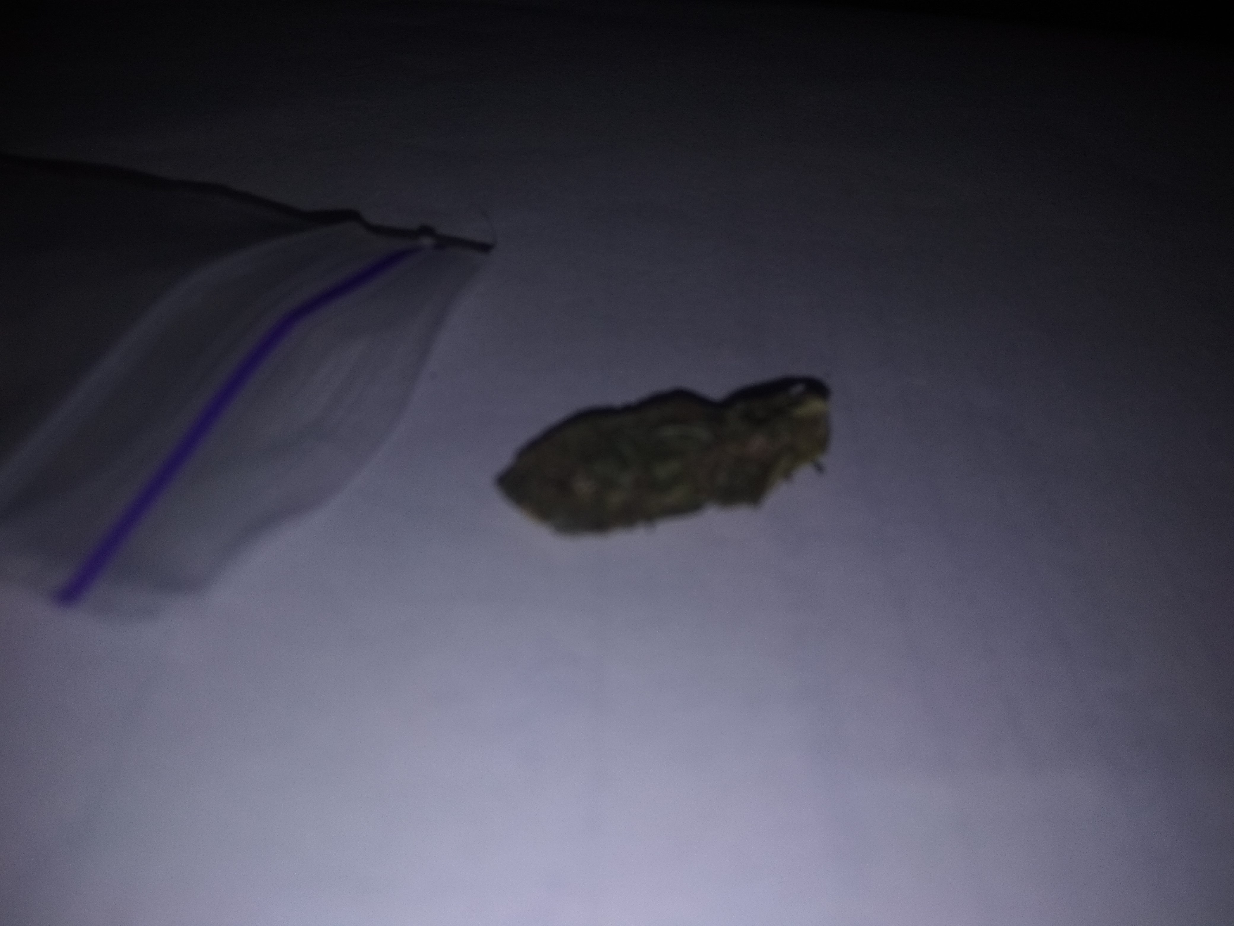 IMG_20201217_001852.jpg