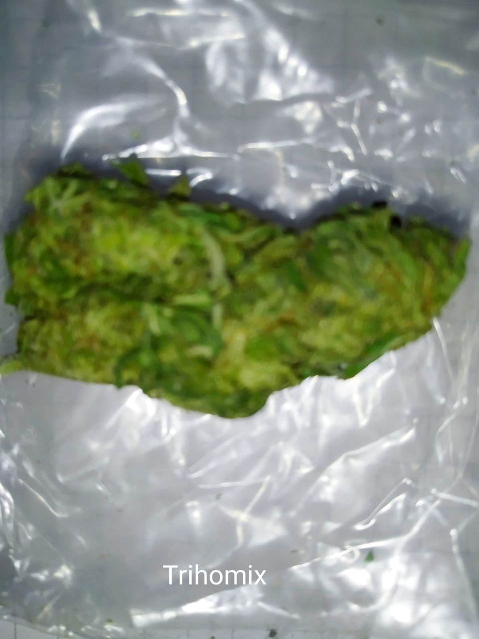 img_20210213_074627_835-jpg.60180