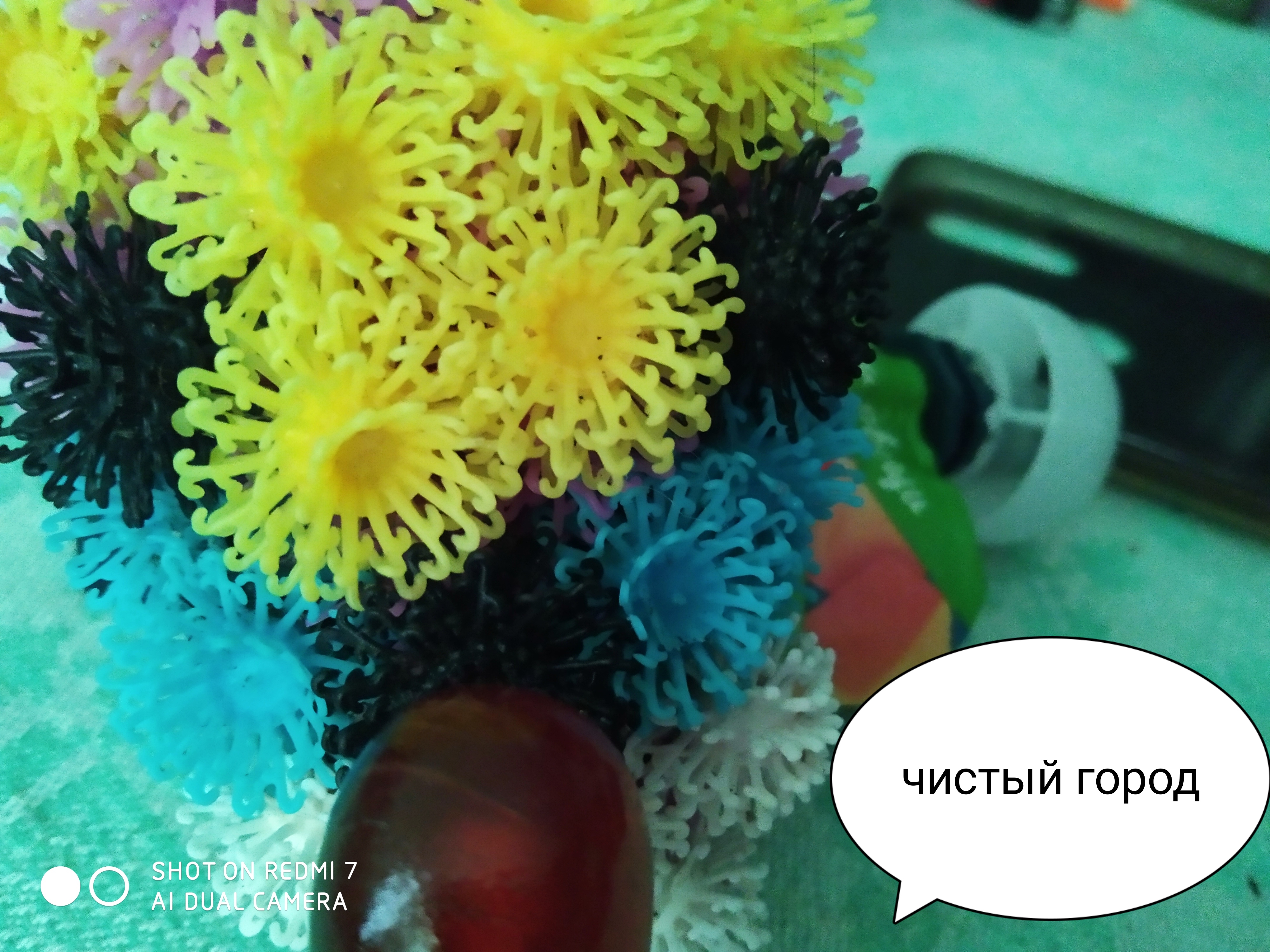 IMG_20220630_164313.jpg