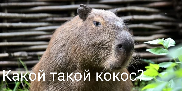 IMG_20250525_083735.png