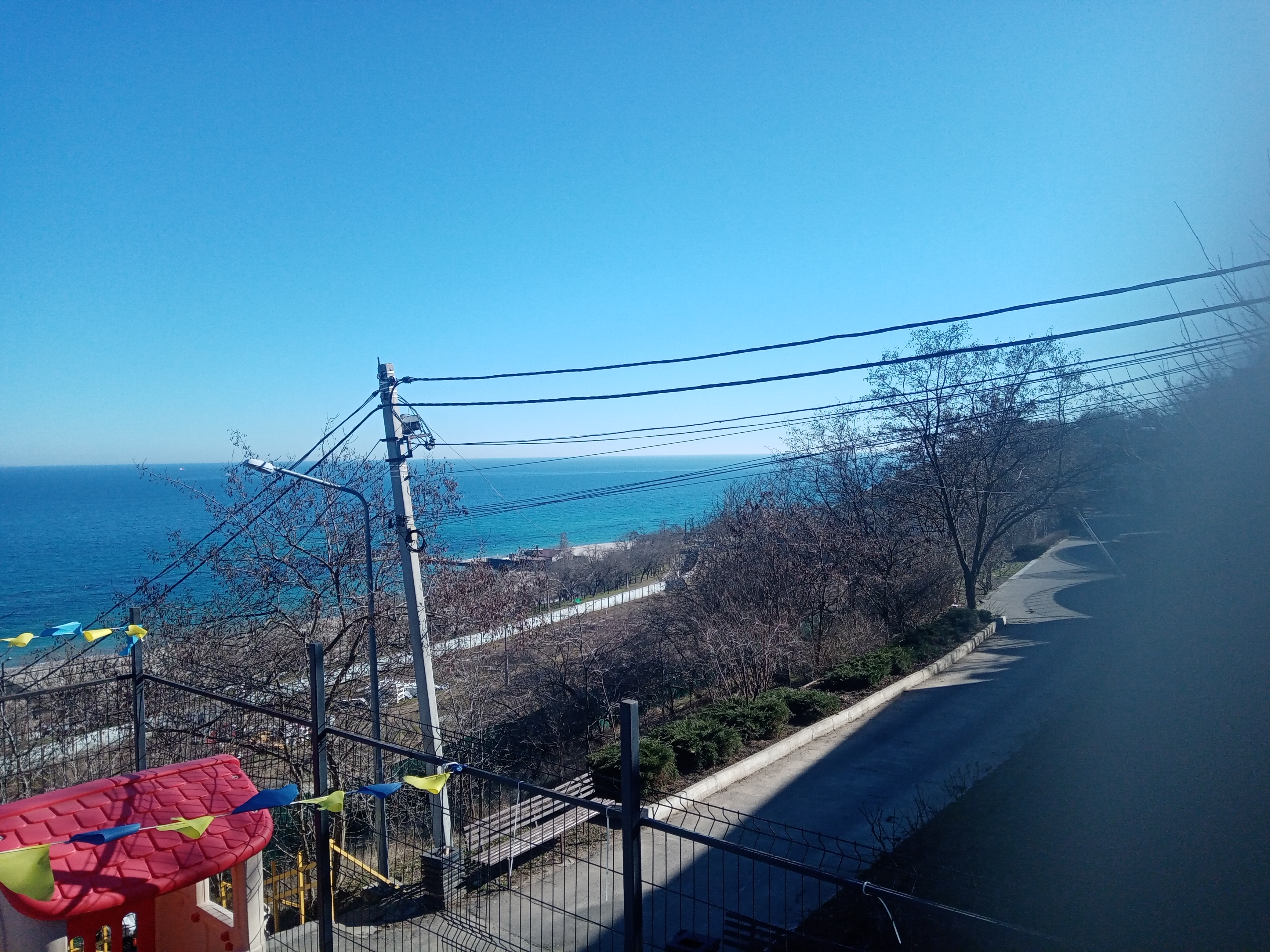 IMG_20260310_144827.jpg