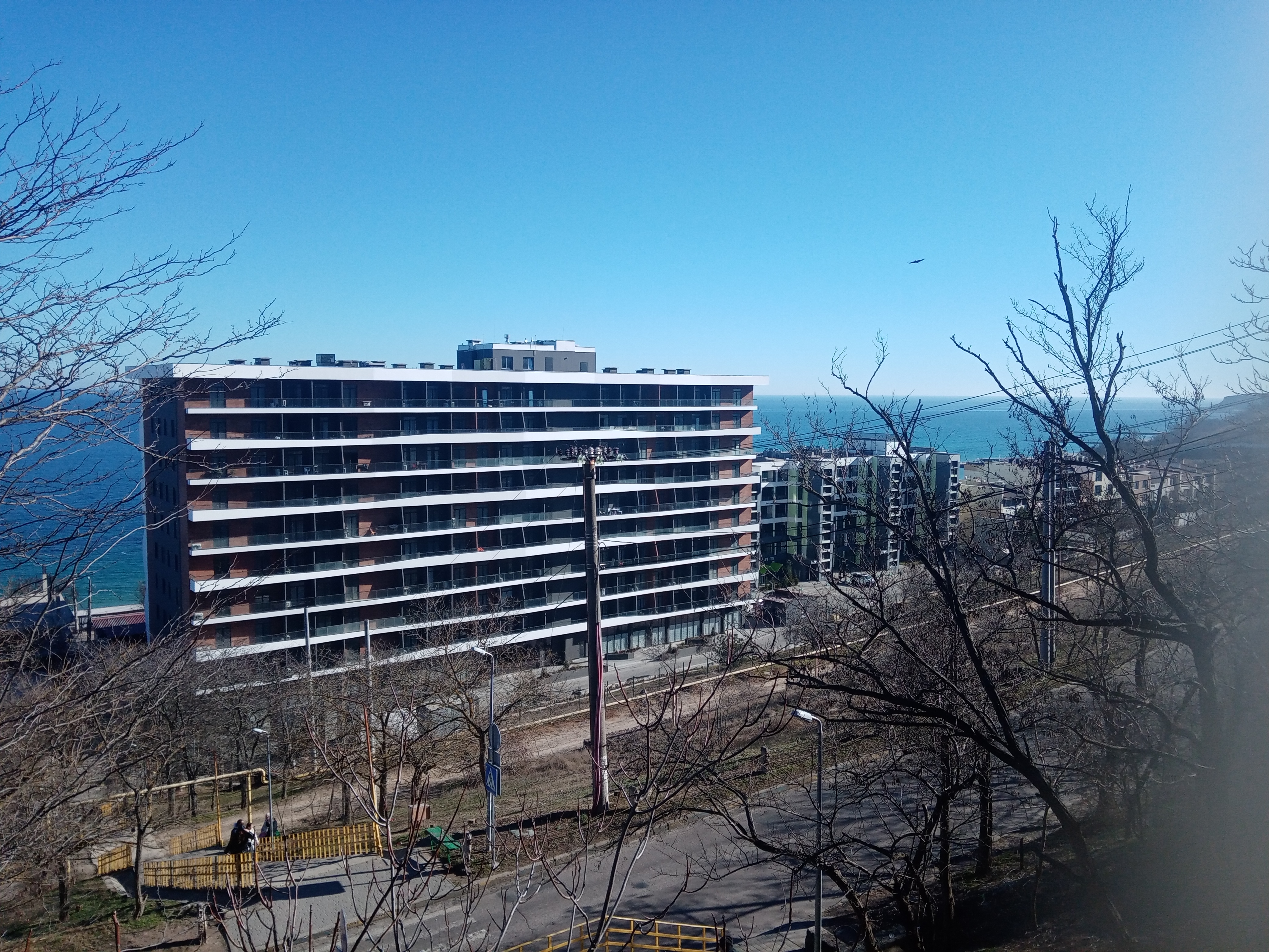 IMG_20260310_145233.jpg