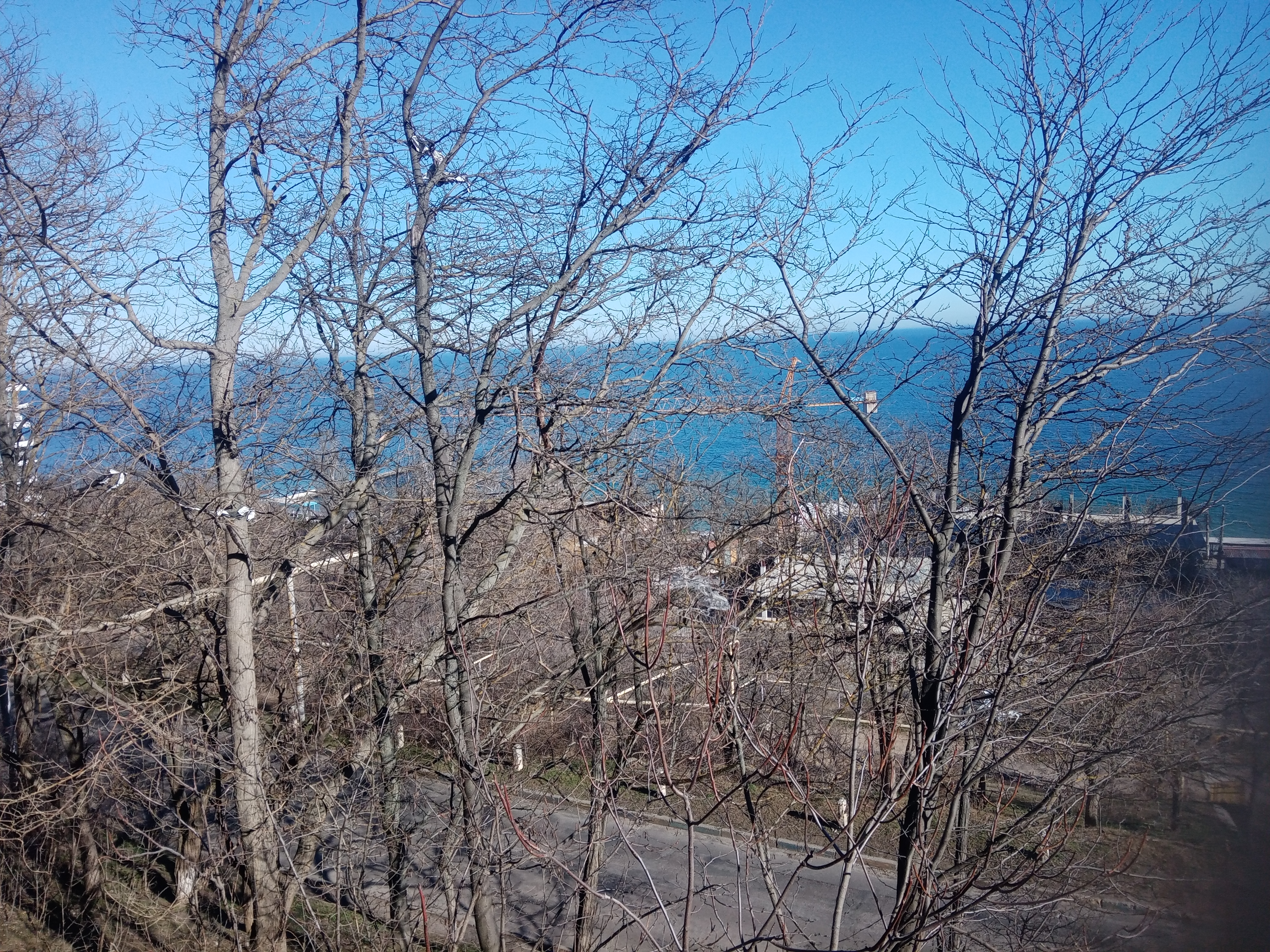 IMG_20260310_145235.jpg