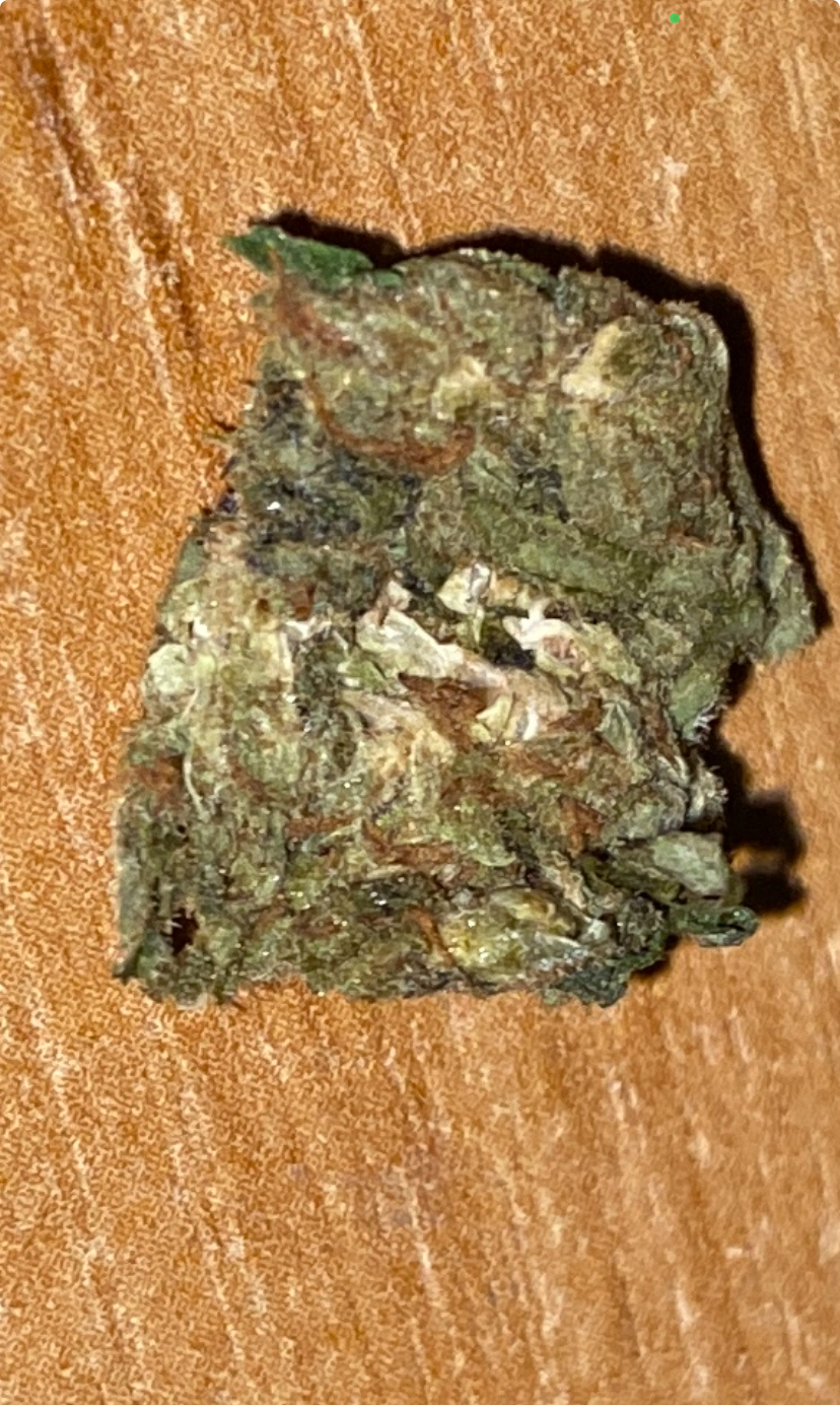 IMG_3989.jpeg
