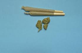 IMG_6391.jpeg