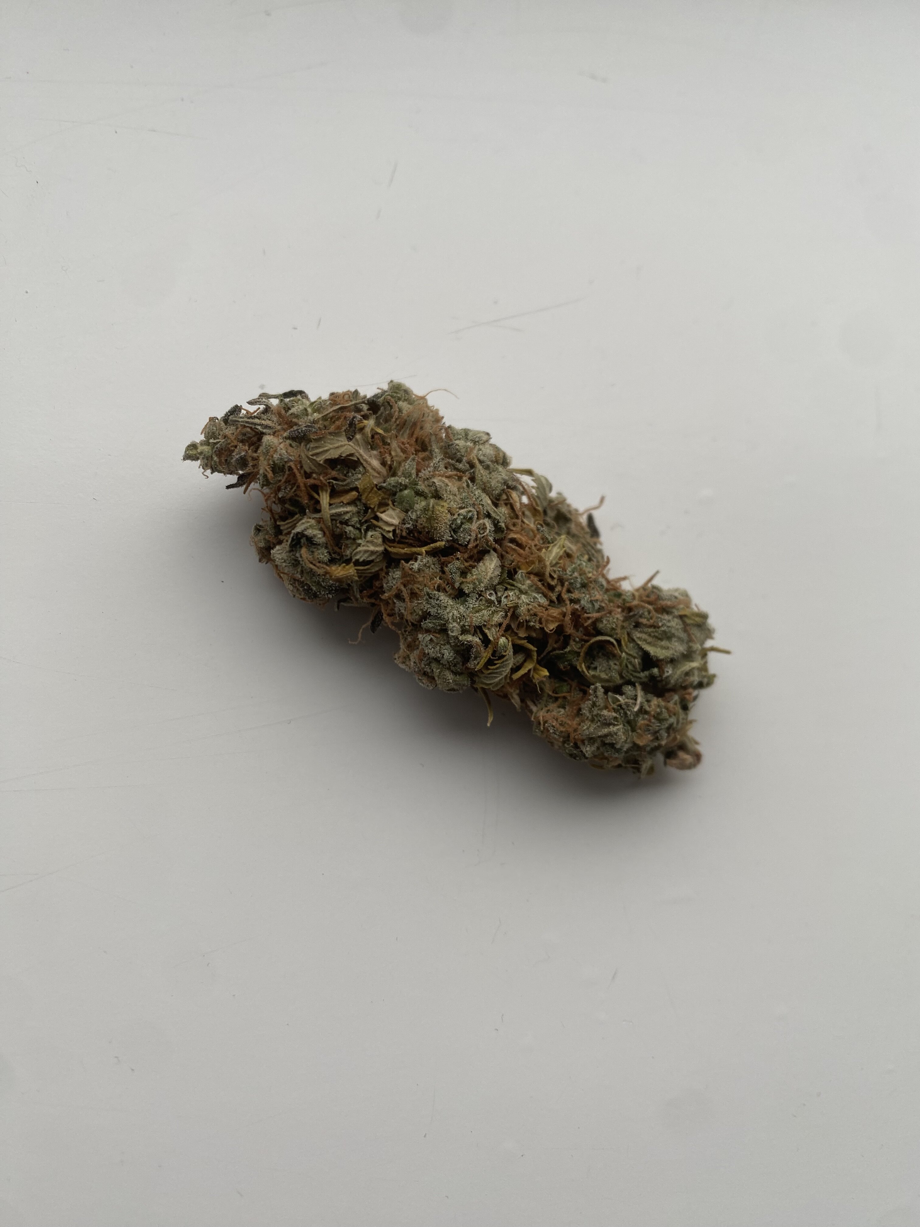 IMG_7010.jpeg