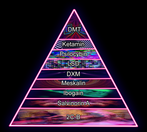 IMG_7860.PNG