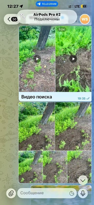 IMG_7926.jpeg