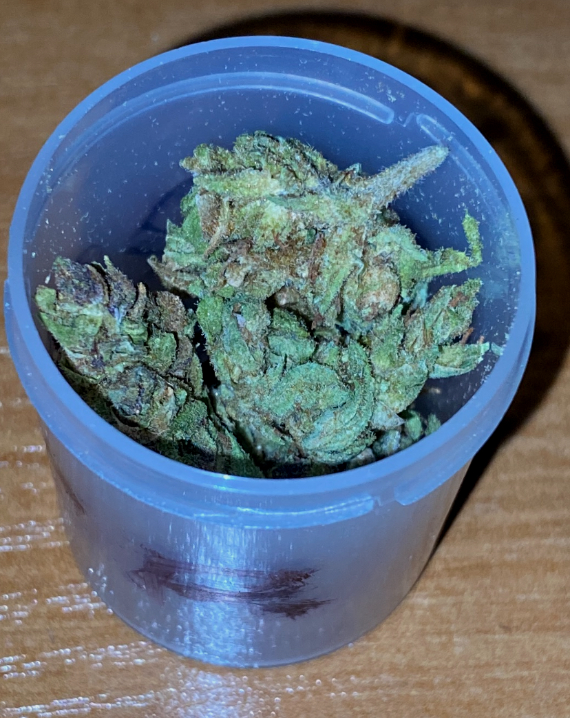 IMG_9319.jpeg
