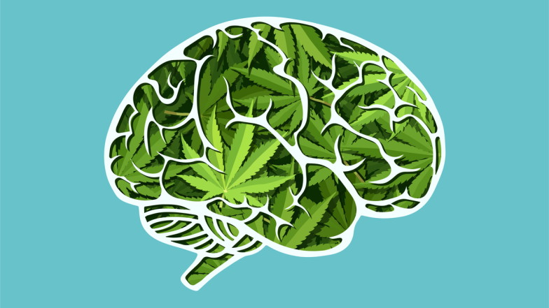 iStock_Feodora_Chiosea-1031454730_Cannabisgehirn.jpg