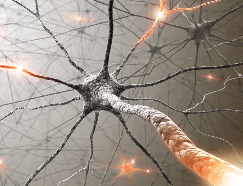 iStock_ktsimage_92036744_Neuron_600px.jpg