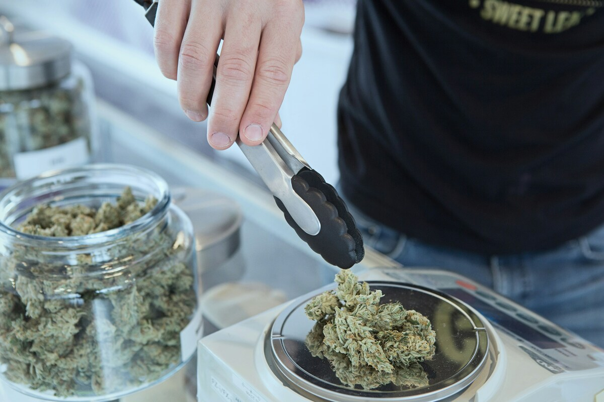 kannabis-v-germanii-normy-hraneniya-i-vozmozhnye-shtrafy.png