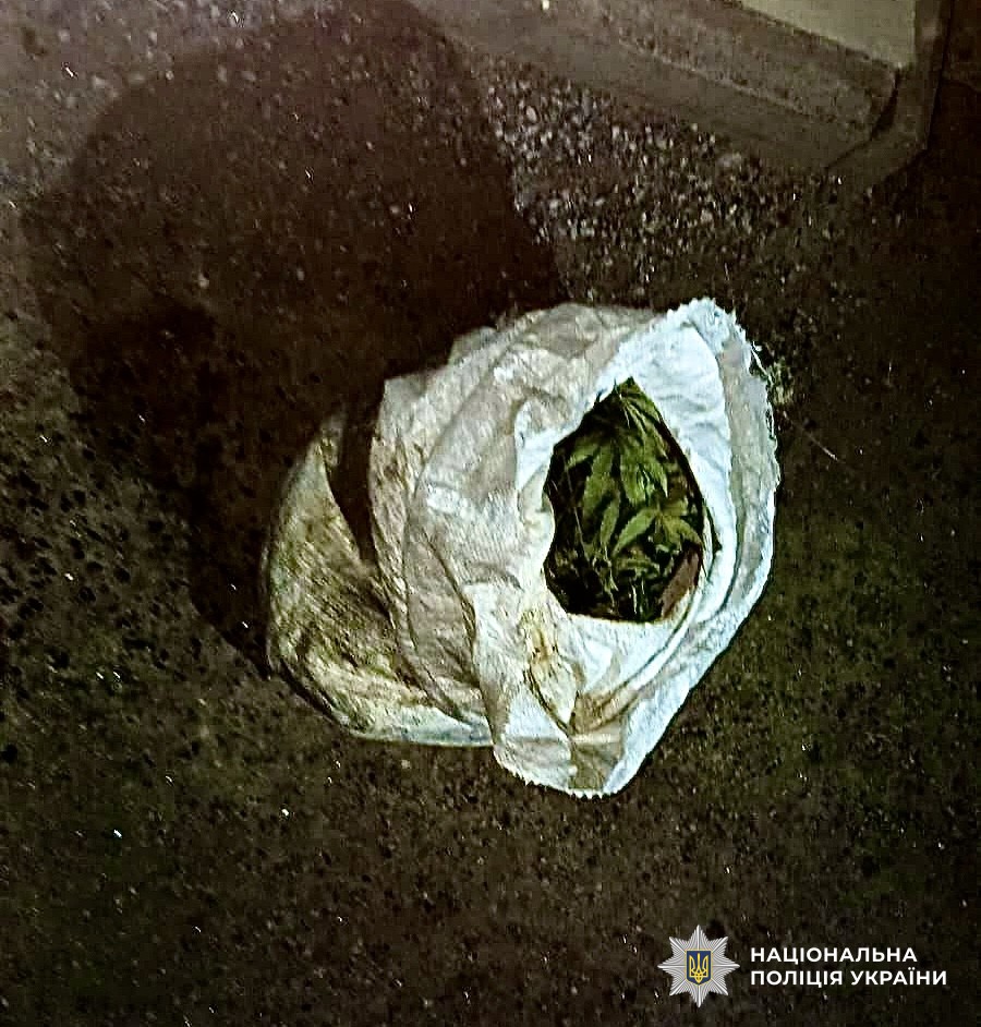 каннабис в украине.jpeg