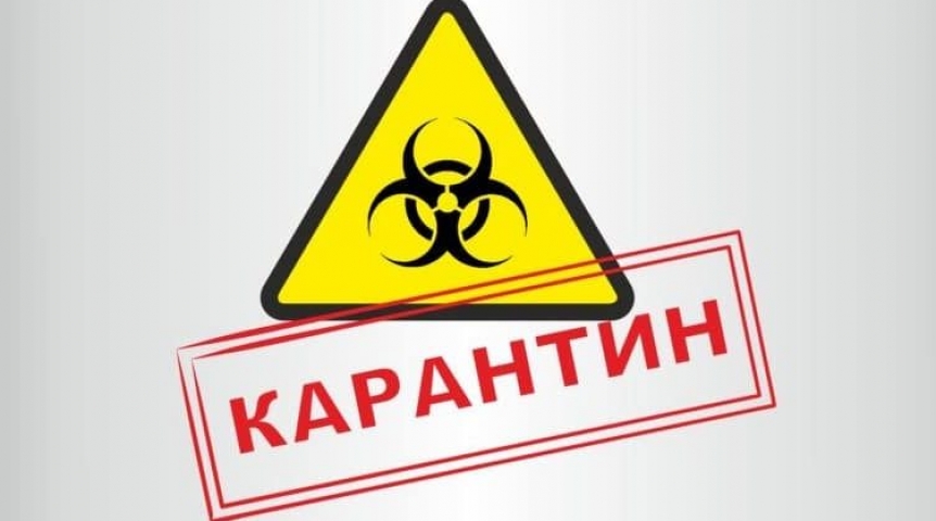 karantin1.jpg