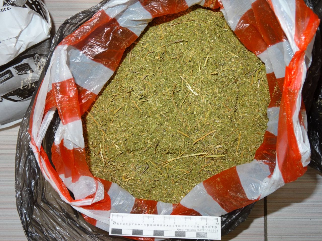 kazakhstan marihuana.jpg