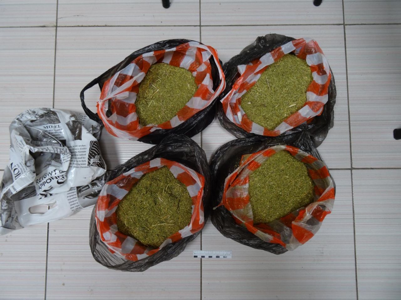 kazakhstan marihuana2.jpg