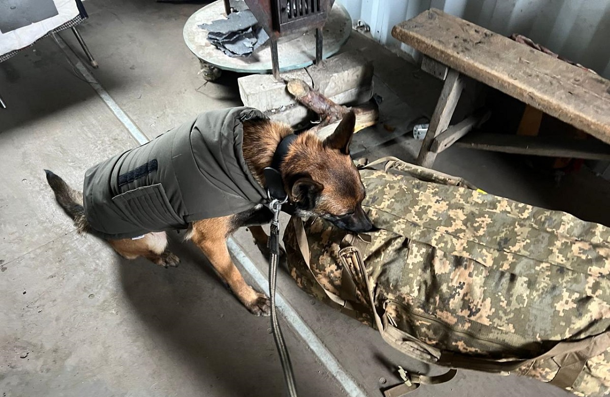 кинологи в харькове.jpg