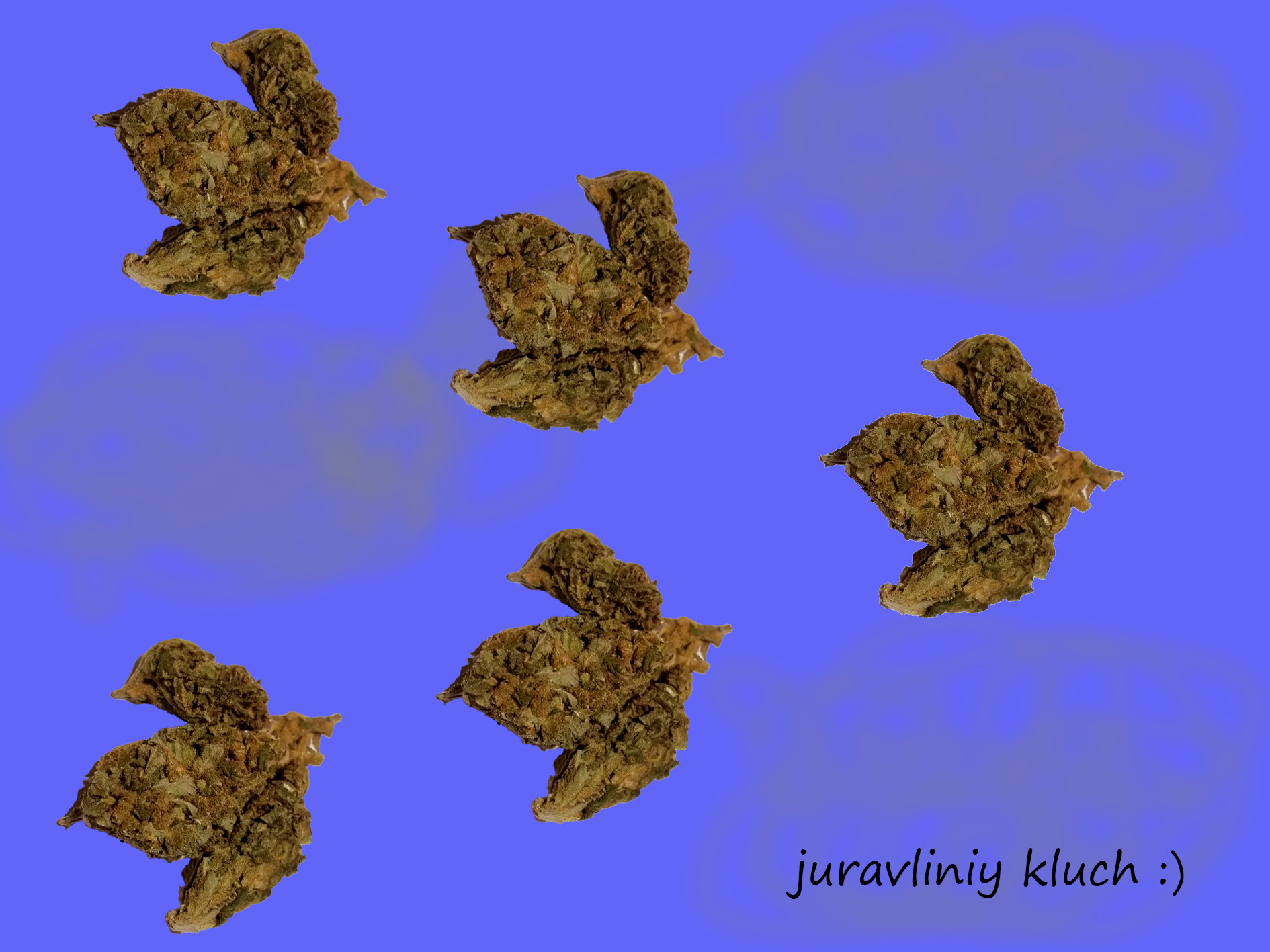 kluch-exif-remove.png