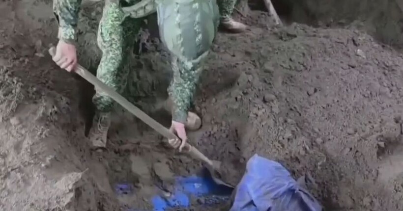 кокс кока кокос коксик.jpg