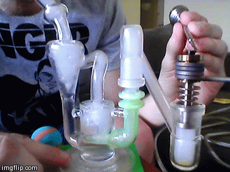 koncentrat marihuana3.gif