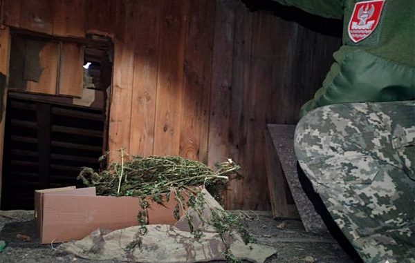 konop-600x381.jpg
