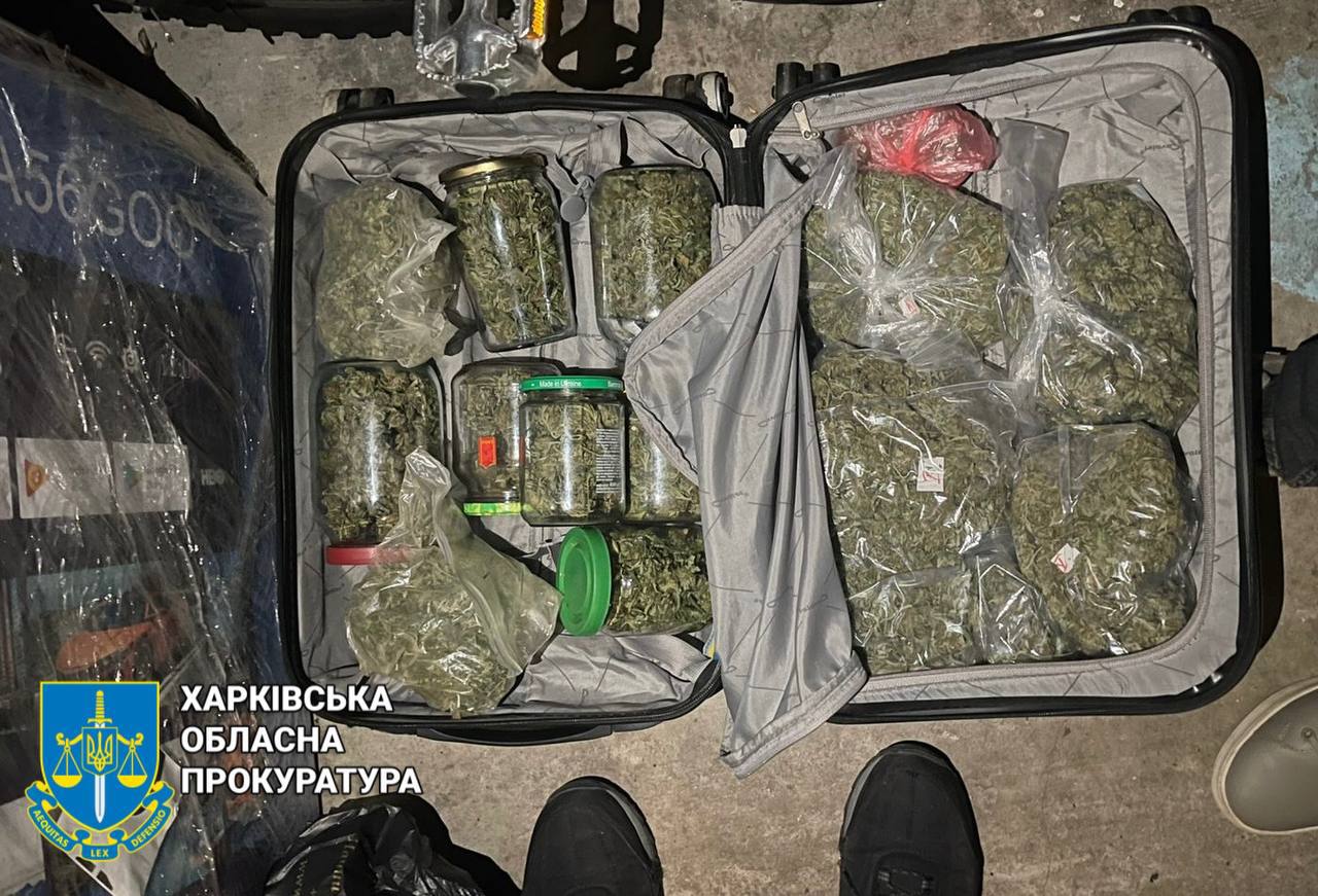 конопля травка в харькове.jpg