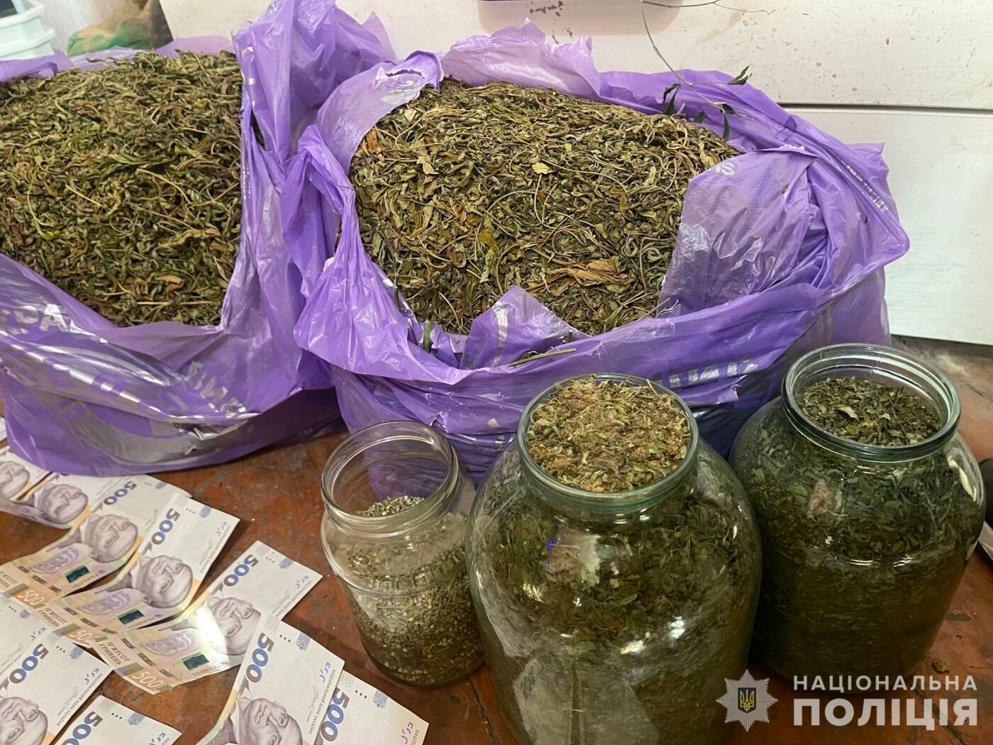 конопля запорожье.jpg