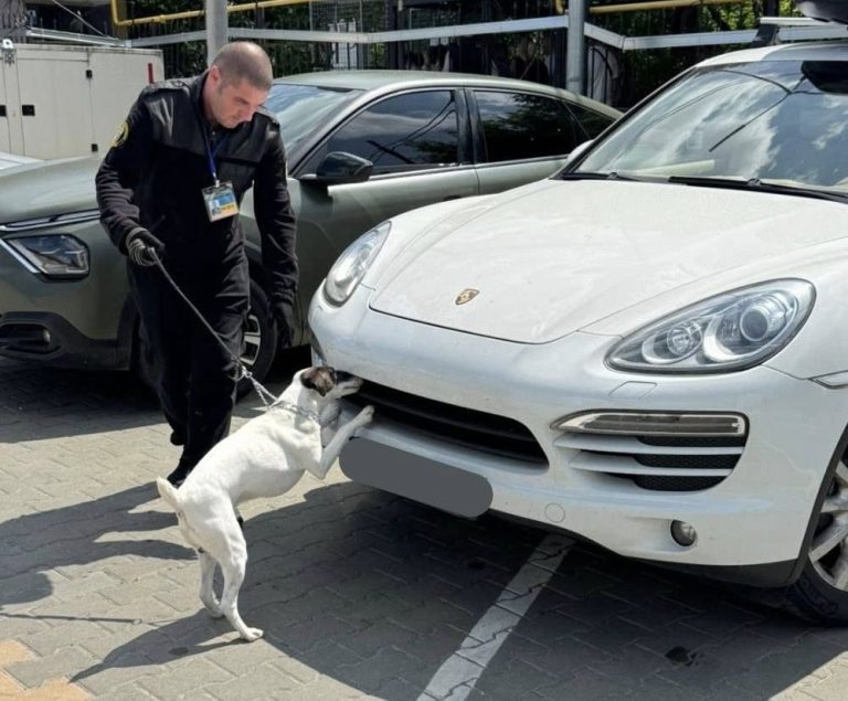 контрабанда в украине.jpg