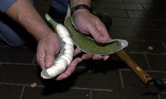 kontrabanda7.jpg