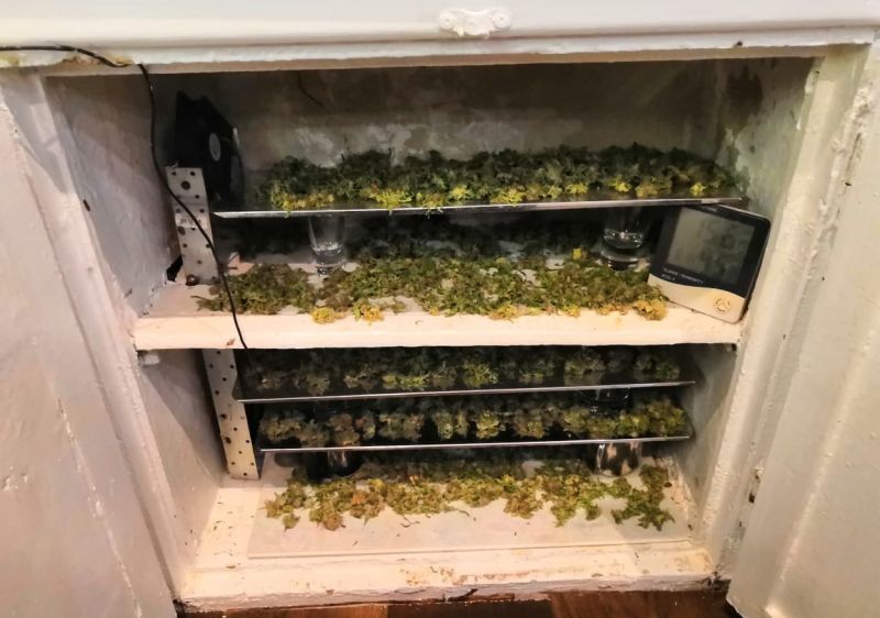 laboratoriya marihuana.jpg