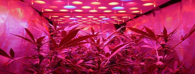 led__HiFBwEHDyHR2TbZc.jpg