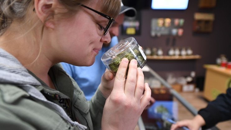 legalayz marihuana2.jpg