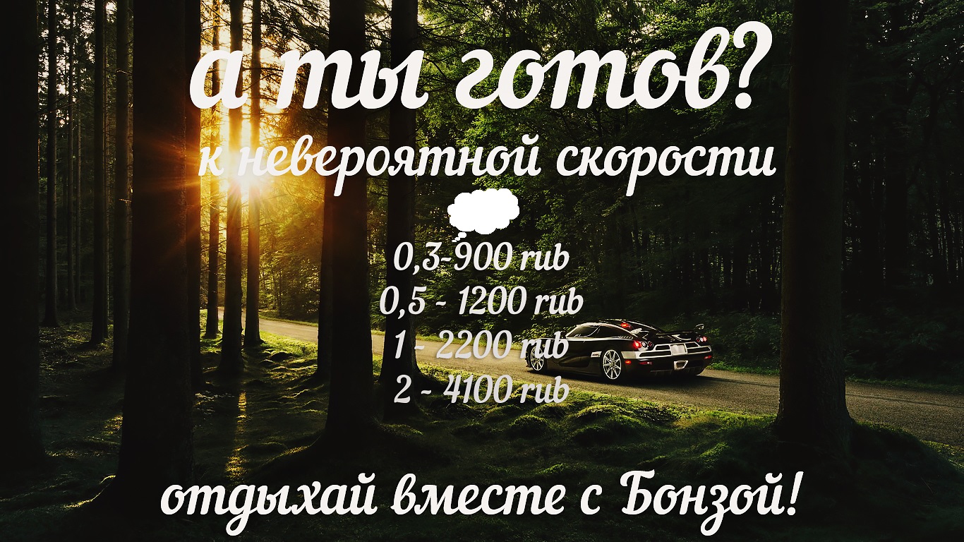 лес скорость.jpg