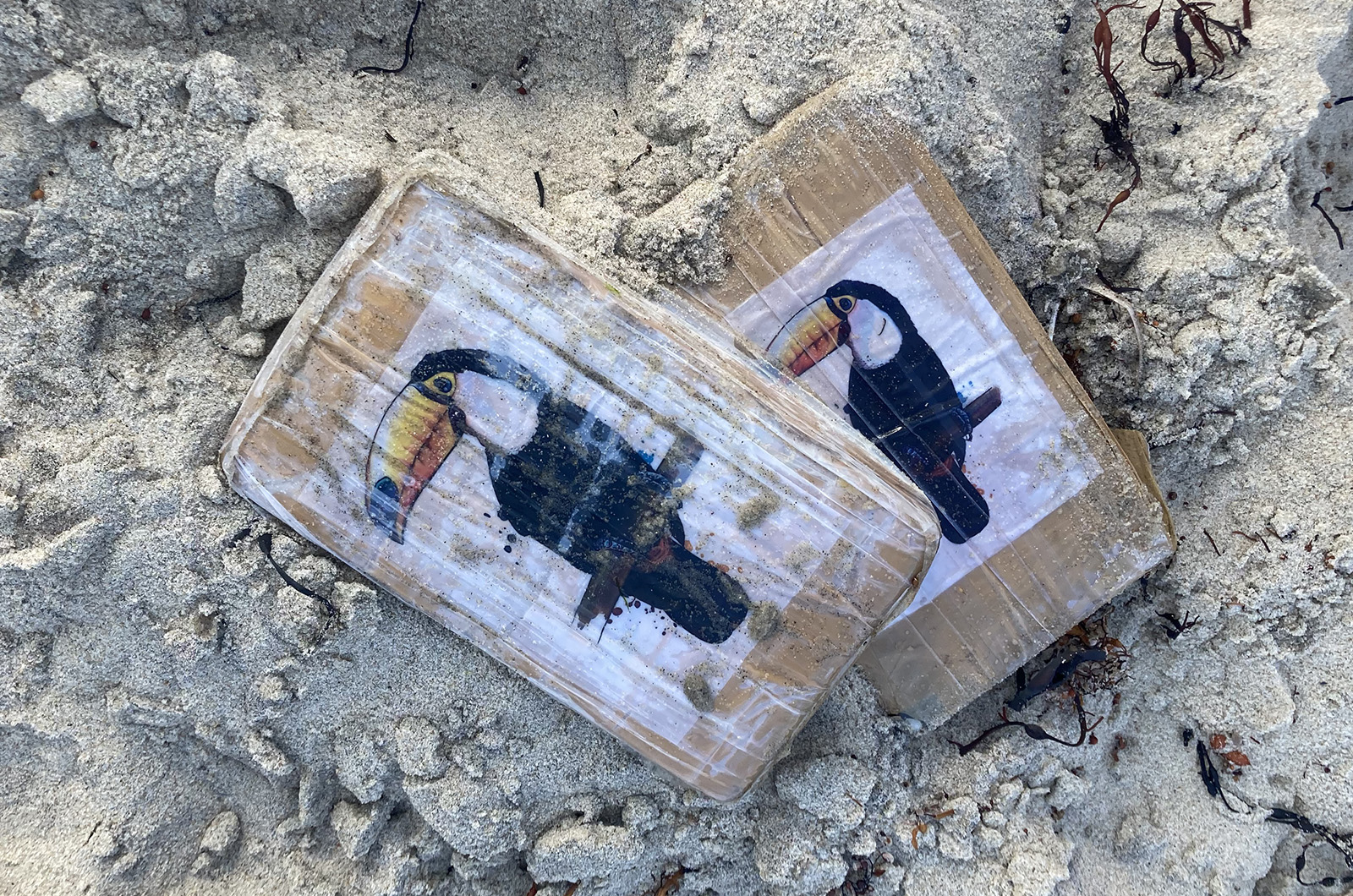 lindsay_lesniak_cocaine_bricks_toucan-2.jpg