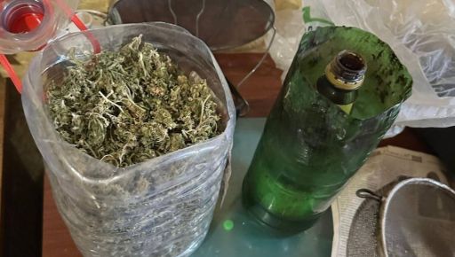 Лозовая шишки шиш.jpg