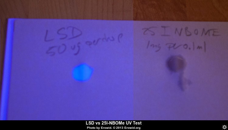 lsd_svet1.jpg