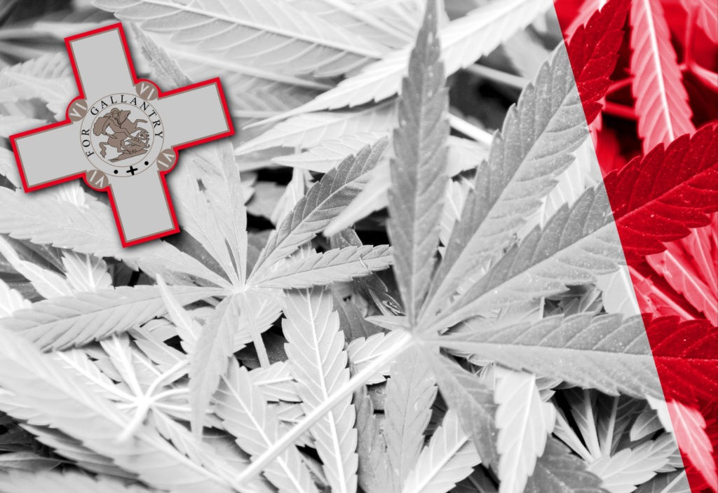 malta-cannabis-marijuana-1024x704.png